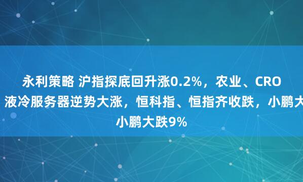 永利策略 沪指探底回升涨0.2%，农业、CRO爆发，液冷服务器逆势大涨，恒科指、恒指齐收跌，小鹏大跌9%